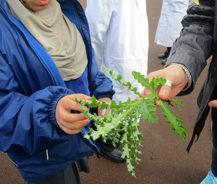 Science Priory Woods School